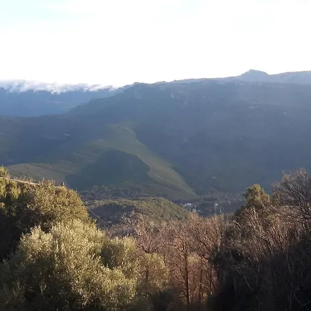 Maison Avec Jardin, Belle Vue Et Montagne Pietracorbara