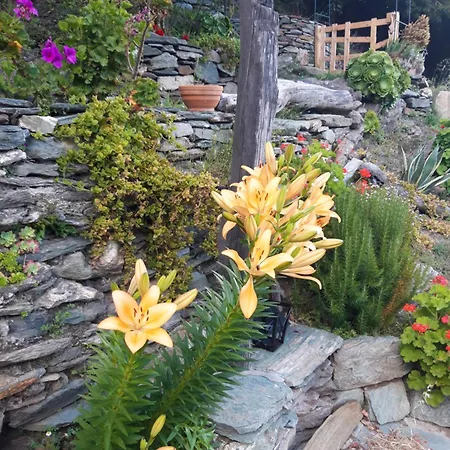 Maison Avec Jardin, Belle Vue Et Montagne 度假居 *